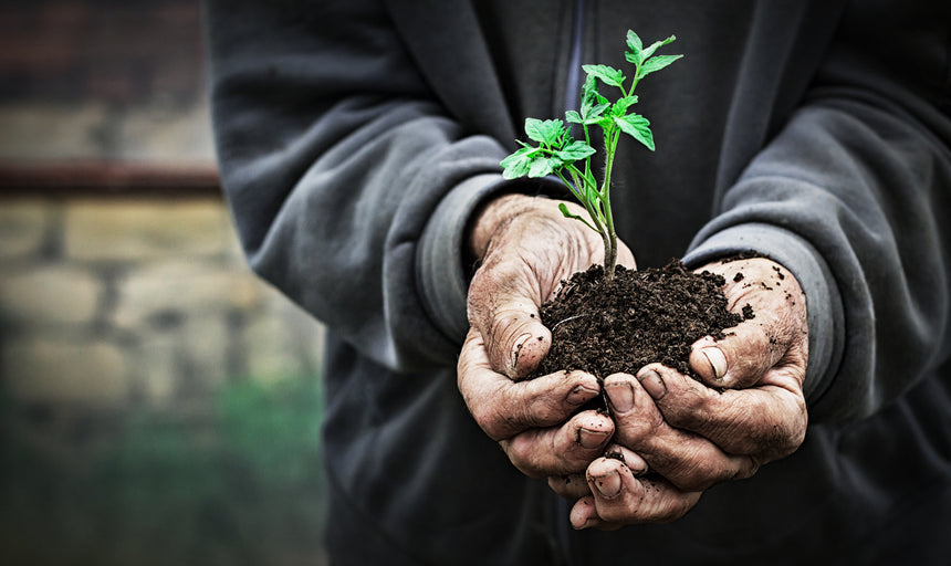 What is 'ESG & CSR'?