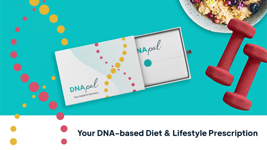 The Mór Card DNAPal DNA Based Diet and Lifestyle Prescription