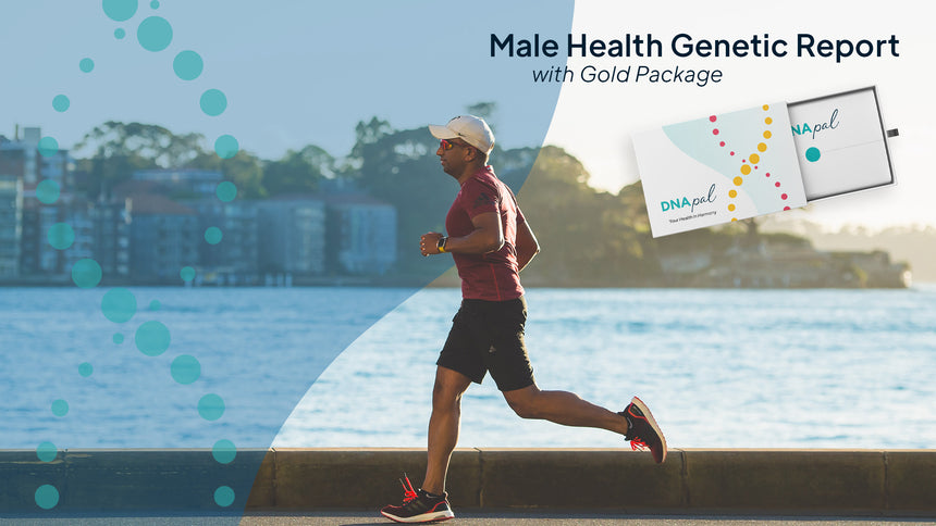 The Mór Card DNAPal DNA Set Male Health Genetic Report