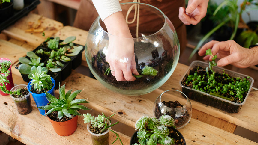 Flower & Succulent Arranging Workshops by Ferris Heart Sloane