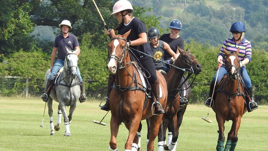 Full-Day Private Polo Experience by JF Polo