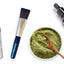 The Mór Card Raven Botanicals The Capsule Collection Two