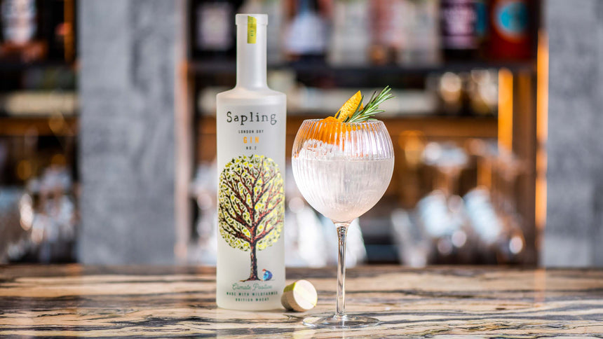 Vodka and Gin by Sapling Spirits