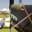 Vintage Tiger Moth Aeroplane Flight Experience by Vintage Flying