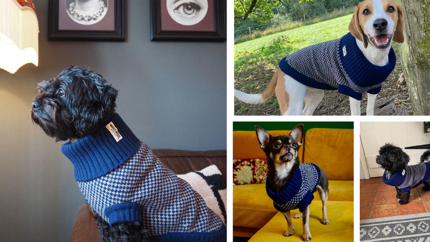 Sustainable dog jumpers and scarves by WAG&WOOL