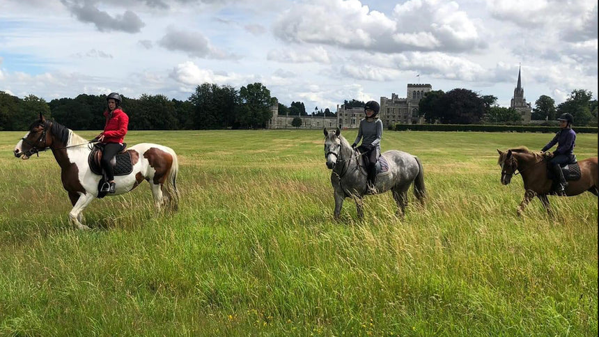 Half-Day Horse Riding For Two with Ashridge Horse Trekking