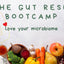 The Mór Card Gut Reset Bootcamp Healthy Food Selection